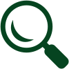 Search Icon